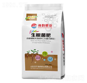 ����Ԫ���ͺ���ֲ����������-ԣ�w-�������