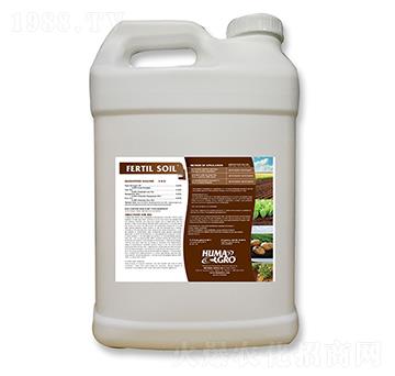 ����-����