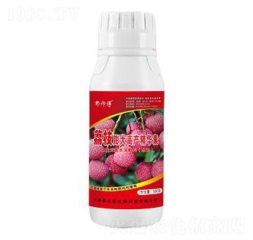 荔枝膨大高產(chǎn)精華素-郭師傅-立信生物