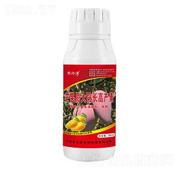 芒果膨大拉長精華素-郭師傅-立信生物