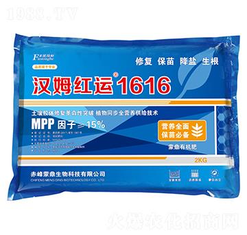 漢姆紅運1616-和潤農業(yè)