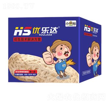 �����ı�ˎ-��(y��u)���_-��ţ���H