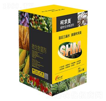 ֲ���������M��-������-���A��