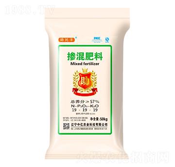 �������19-19-19-�����S-�Ѓ|�r(n��ng)�I(y��)