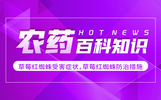 ��ݮ�t֩���ܺ��Y������ݮ�t֩����δ�ʩ