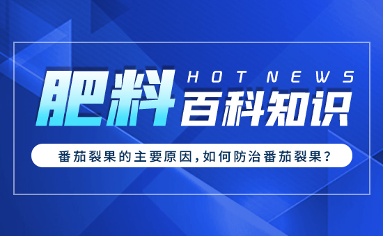 �����ѹ�����Ҫԭ������η��η����ѹ���