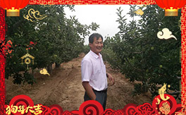 ����������ʘI(y��)��ȫ�w�T����ף���Ͽ͑�����옷�������³���