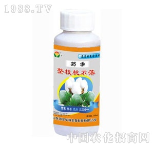 ���A��-������֦