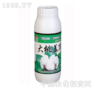 ���A��(qi��ng)-�����w�