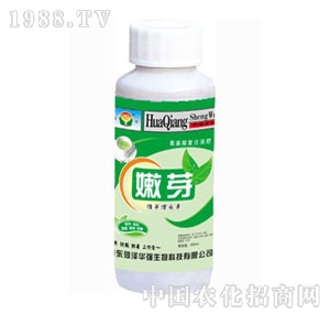 ���A��-��ѿ��ѿ���L��