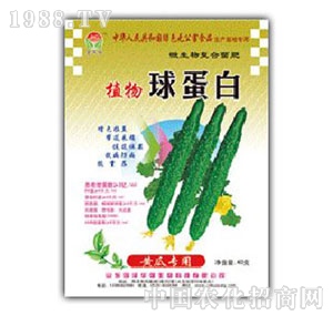 ���A��-ֲ���򵰰��S�ό���