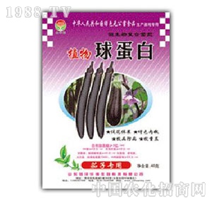 ���A��(qi��ng)-ֲ���򵰰����ӌ���