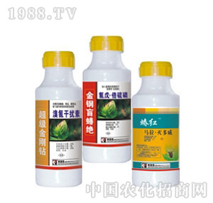 �W��ɭ-����ɔ_��