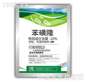 ��¶-����¡