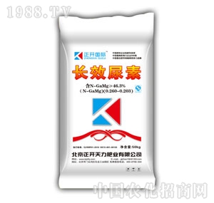 ���_-�LЧ����