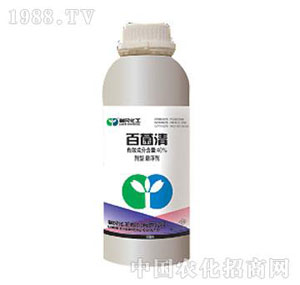 ����-40%�پ���Ҹ���