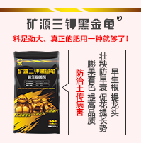 �������ý�����Ƽ����޹�˾