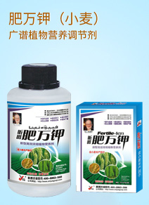 꿾���H���F